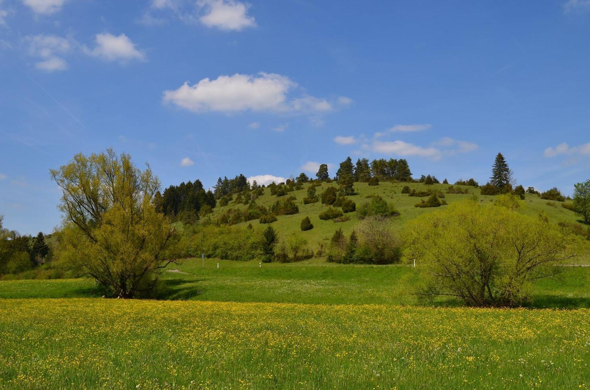 Casa Wiesenblick Nuertingen Dış mekan fotoğraf